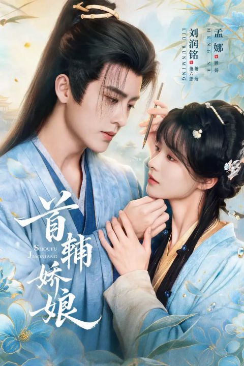 首辅娇娘海报