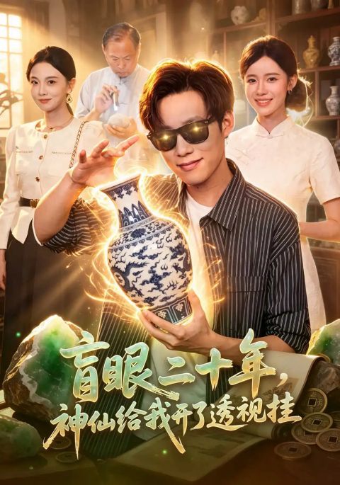 盲眼二十年，神仙给我开了透视挂海报