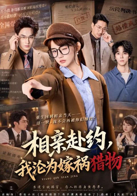 相亲赴约，我沦为嫁祸猎物海报