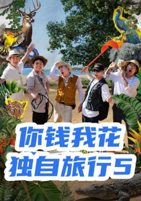 你钱我花独自旅行第五季海报