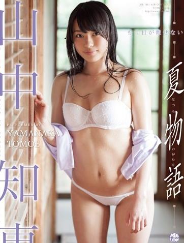 夏物語 山中知恵海报