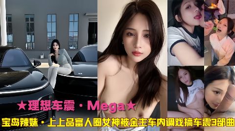 理想车震Mega宝岛辣妹上上品富人圈女神被金主车内调戏搞车震3部曲海报