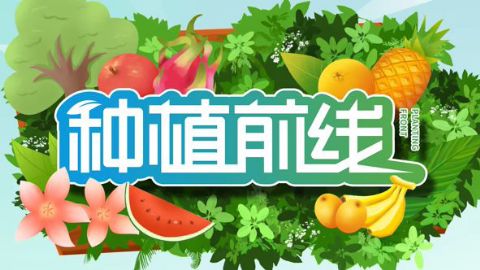 种植前线2026海报