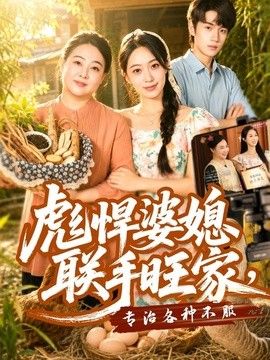 彪悍婆媳联手旺家，专治各种不服海报