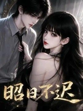 昭日不迟海报