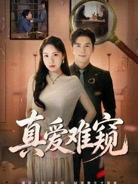 真爱难窥海报