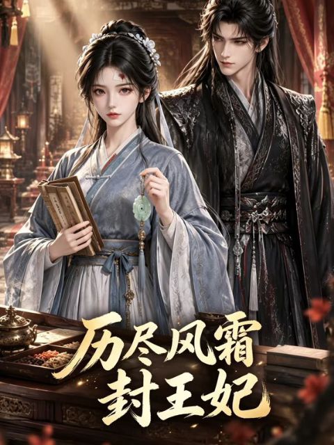 历尽风霜封王妃海报
