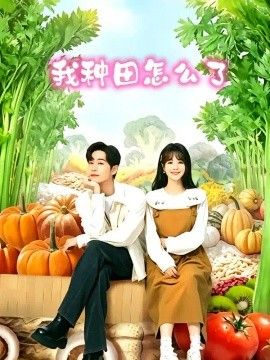我种田怎么了海报