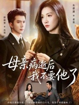 母亲病逝后我不要他了海报