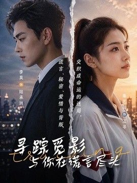 寻踪觅影：与你在谎言尽头海报