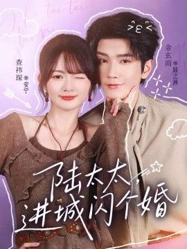 陆太太，进城闪个婚海报
