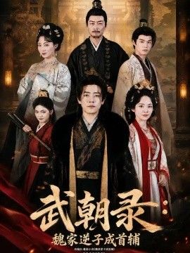 武朝录：魏家逆子成首辅海报