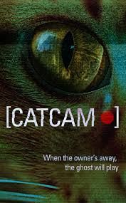 猫咪摄像头海报