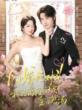 闪婚死对头，我的离婚计划全泡汤海报