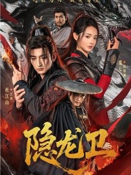 隐龙卫海报