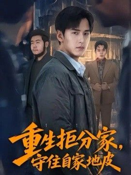 重生拒分家，守住自家地皮海报