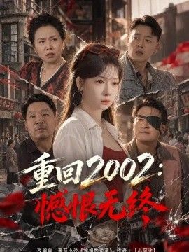 重回2002：憾恨无终海报