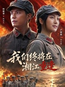我们终将在湘江重逢海报