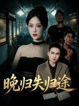 晚归失归途海报
