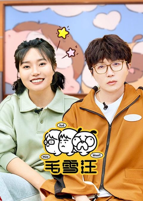 毛雪汪（2026）海报