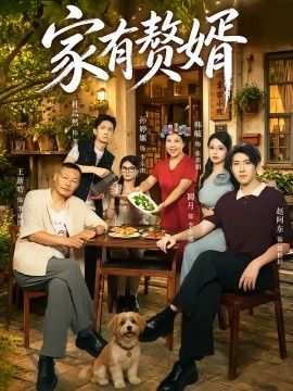 家有赘婿海报