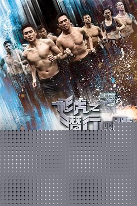 飞虎之潜行极战国语海报