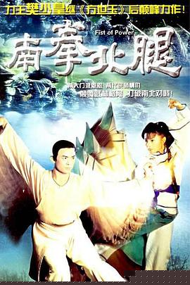 南拳北腿粤语海报