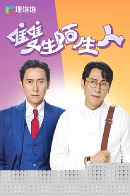 双生陌生人粤语海报