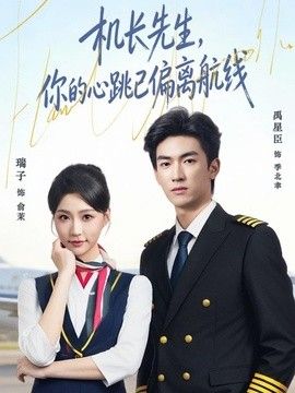 机长先生，你的心跳已偏离航线海报