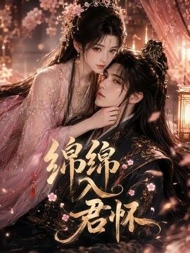 绵绵入君怀海报