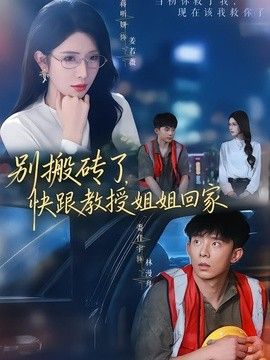 别搬砖了，快跟教授姐姐回家海报