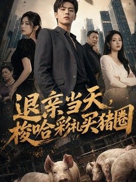 退亲当天，梭哈彩礼买猪圈海报