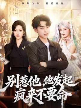 别惹他，他发起疯来不要命海报