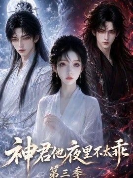 神君他夜里不太乖第三季海报