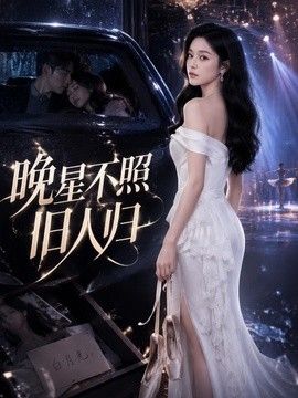 晚星不照旧人归海报