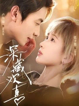 深藏欢喜海报