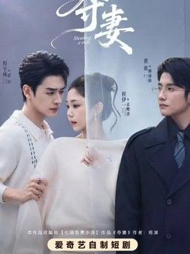 夺妻海报