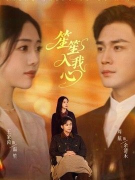 笙笙入我心2026海报