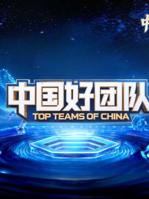 中国好团队海报