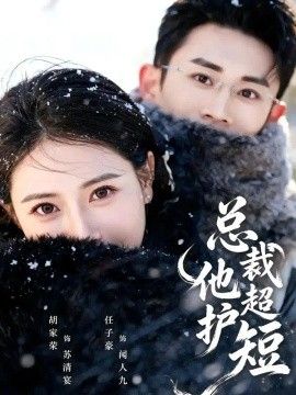 总裁他超护短海报