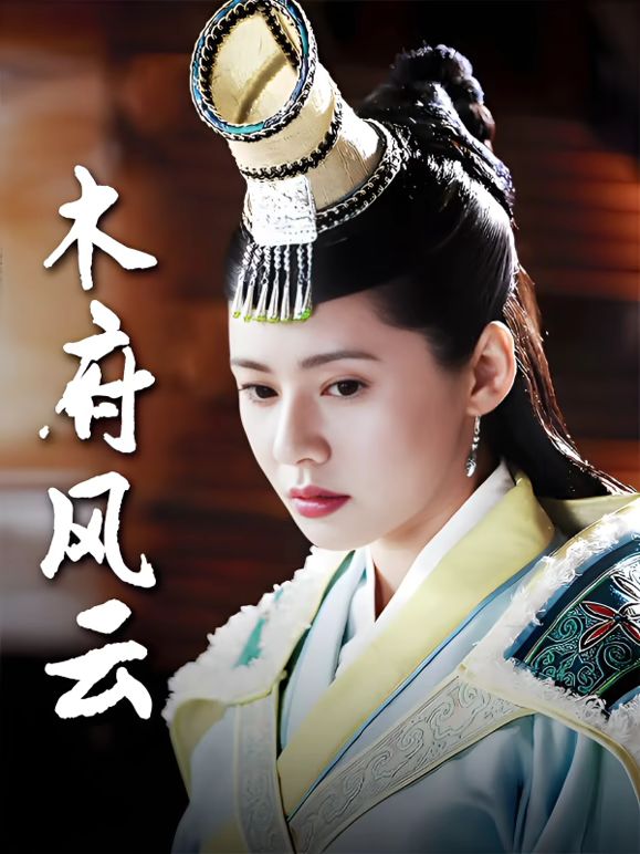 木府风云海报