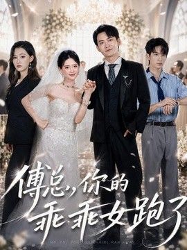 傅总，你的乖乖女跑了海报