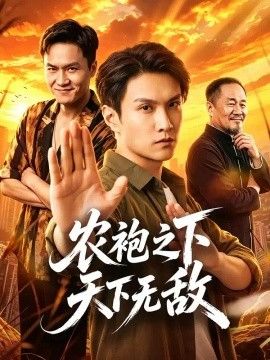 农袍之下天下无敌海报