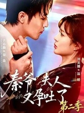 秦爷夫人又孕吐了第二季海报