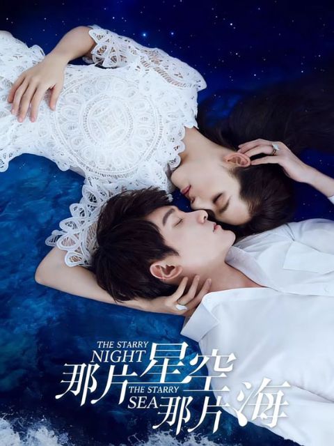 那片星空那片海海报