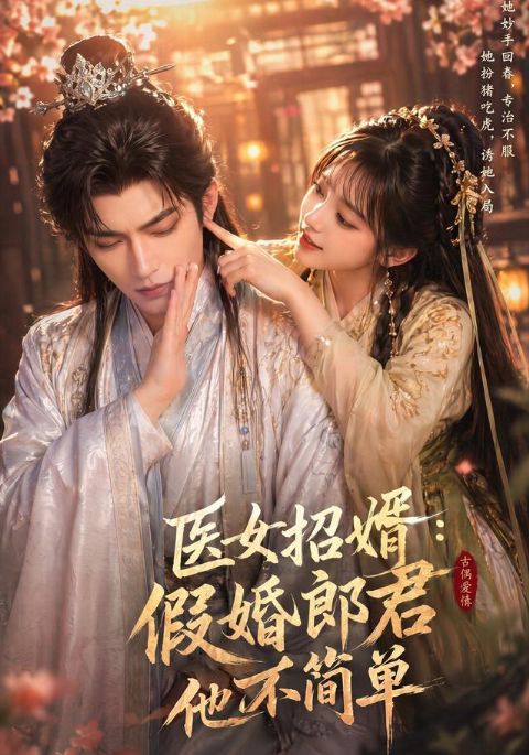 医女招婿：假婚郎君他不简单海报