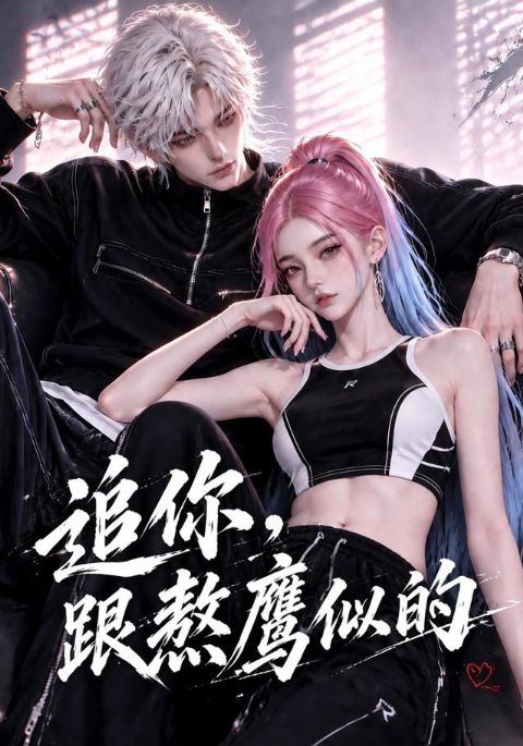 追你，跟熬鹰似的海报
