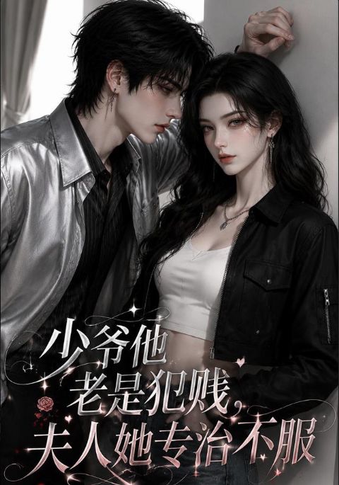 少爷他老是犯贱，夫人她专治不服海报