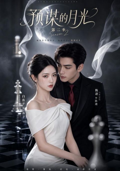 预谋的月光第二季海报