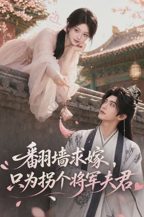 翻墙求嫁，只为拐个将军夫君海报